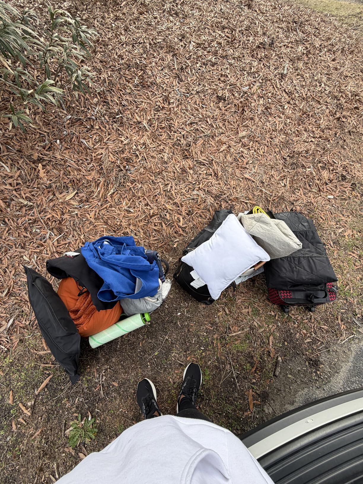 TRUNKCRATEPRO - XL Trunk Organizer For SUV, Car, Truck with 6 Compartments Adjustable Collapsible Portable Non-Skid Premium Cargo Storage Truck Organizer W Straps, Heavy Loads (Extra Large, Gray) customer photo 1