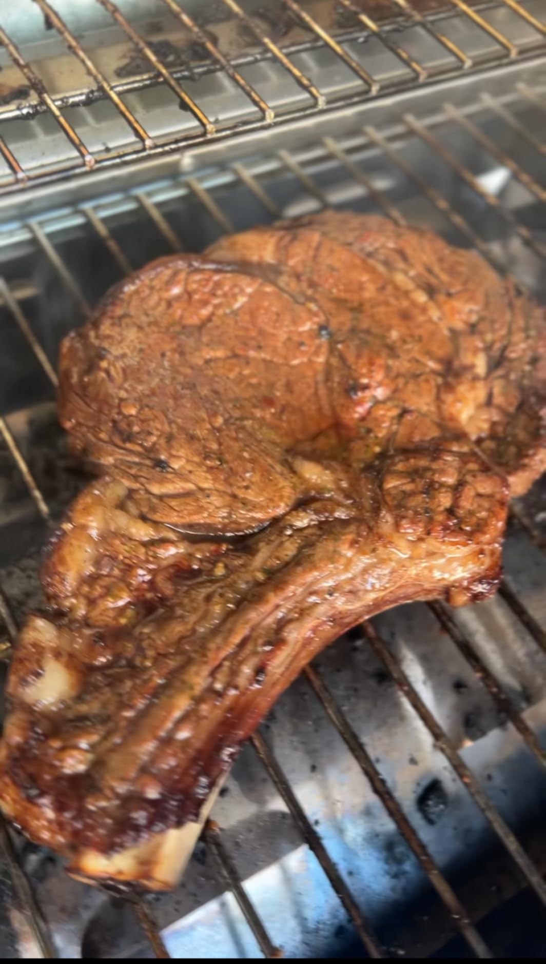 Royal Gourmet GT1001 Stainless Steel Portable Grill, 10000 BTU BBQ Tabletop Gas Grill with Folding Legs and Lockable Lid, Outdoor Camping, Deck and Tailgating, Silver customer photo 2