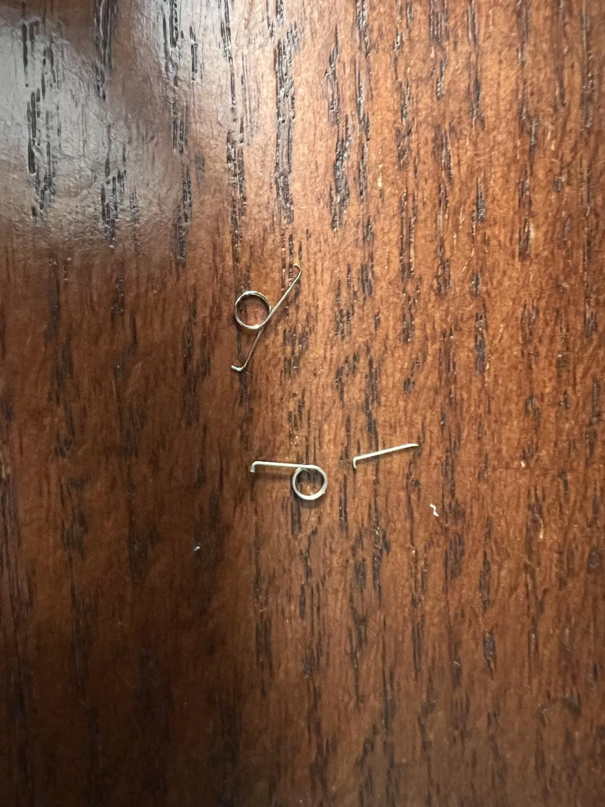 10Pcs L2 R2 Trigger Button Spring Metal Replacement for PS5 Controller Parts customer photo 1