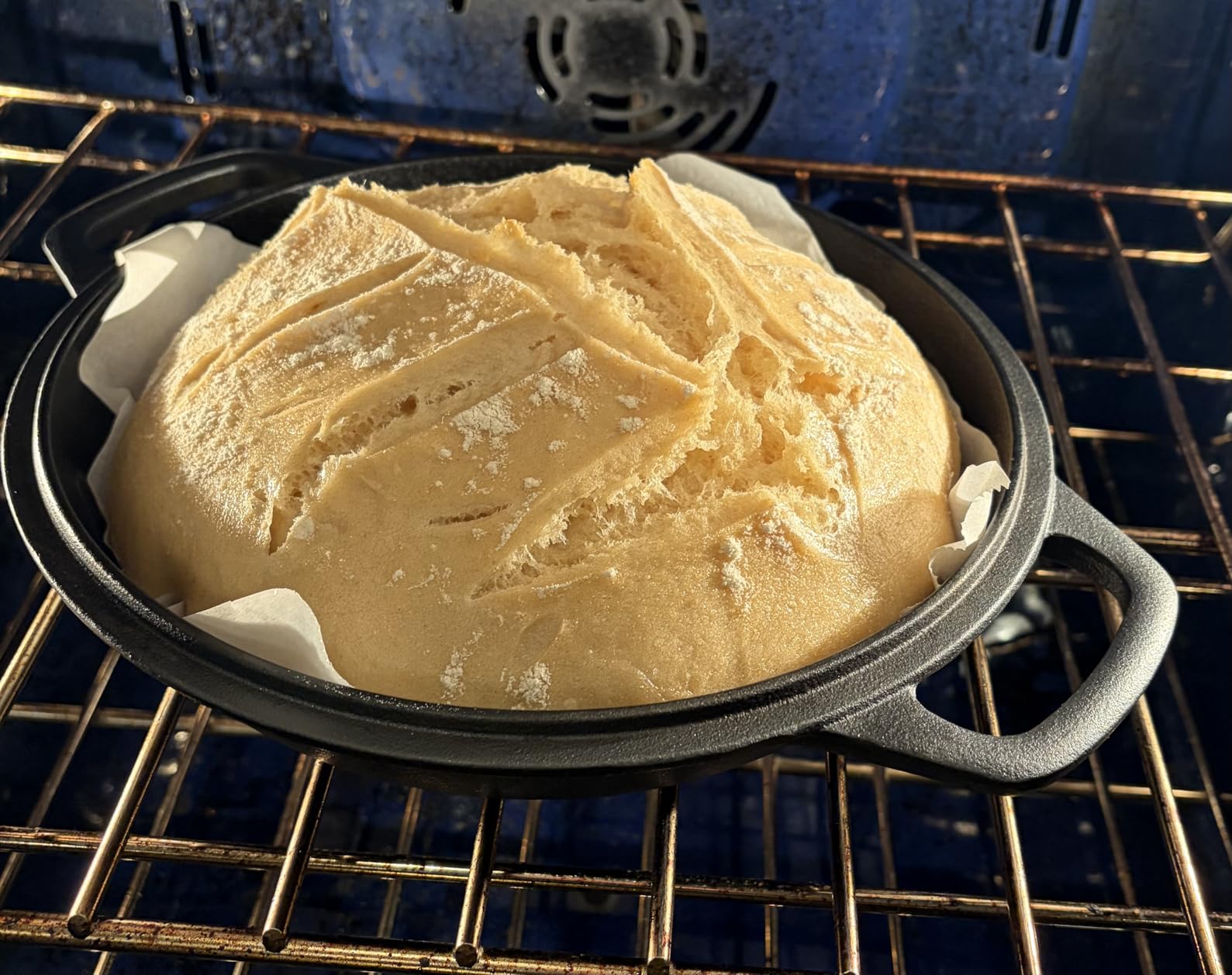 2-in-1 Pre-Seasoned Cast Iron Dutch Oven Pot with Skillet Lid Cooking Pan, Cast Iron Skillet Cookware Pan Set with Dual Handles, Indoor Outdoor for Bread/Frying/Baking/Camping/BBQ, 5 Qt customer photo 1