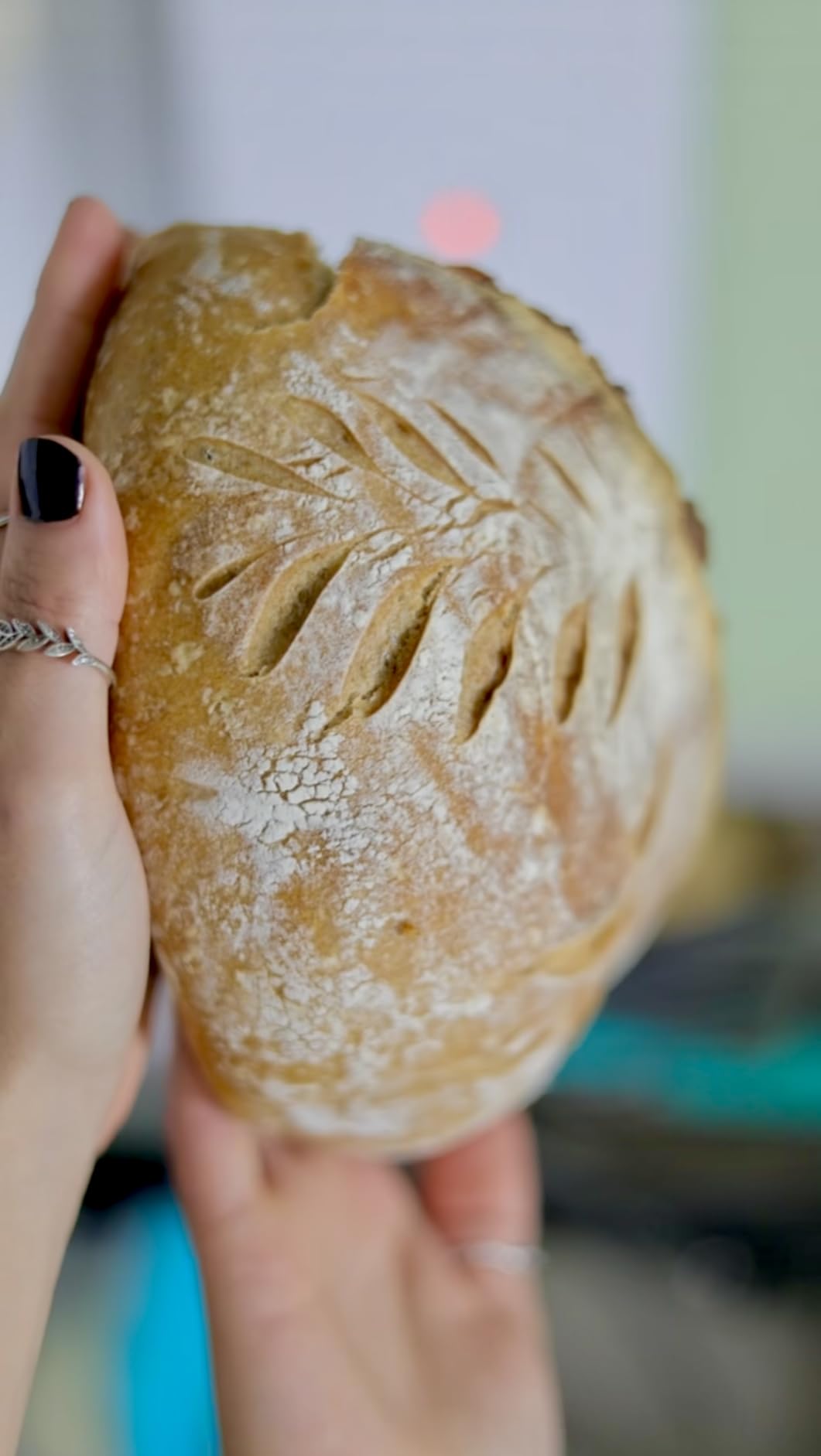 2-in-1 Pre-Seasoned Cast Iron Dutch Oven Pot with Skillet Lid Cooking Pan, Cast Iron Skillet Cookware Pan Set with Dual Handles, Indoor Outdoor for Bread/Frying/Baking/Camping/BBQ, 5 Qt customer photo 2