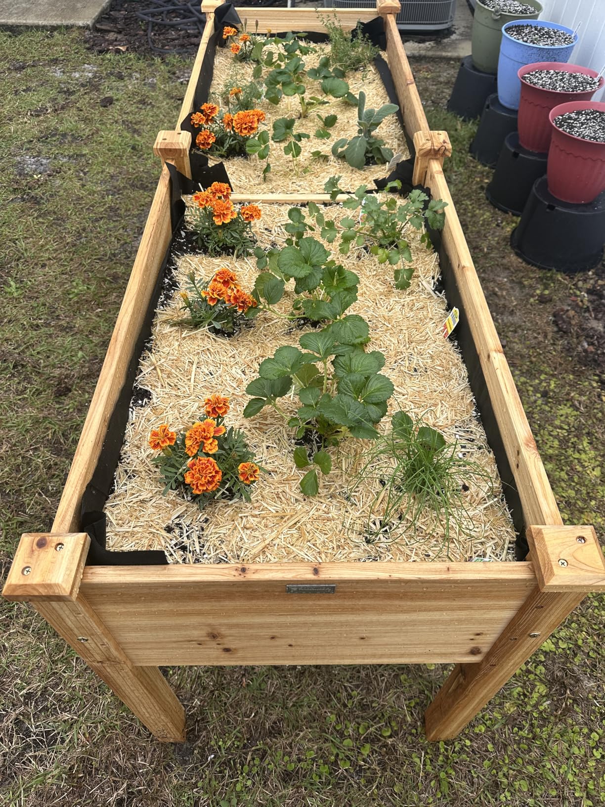 Best Choice Products 72x24x30in Raised Garden Bed, Elevated Wood Planter Box Stand for Backyard, Patio, Balcony w/Divider Panel, 6 Legs, 300lb Capacity - Natural customer photo 1