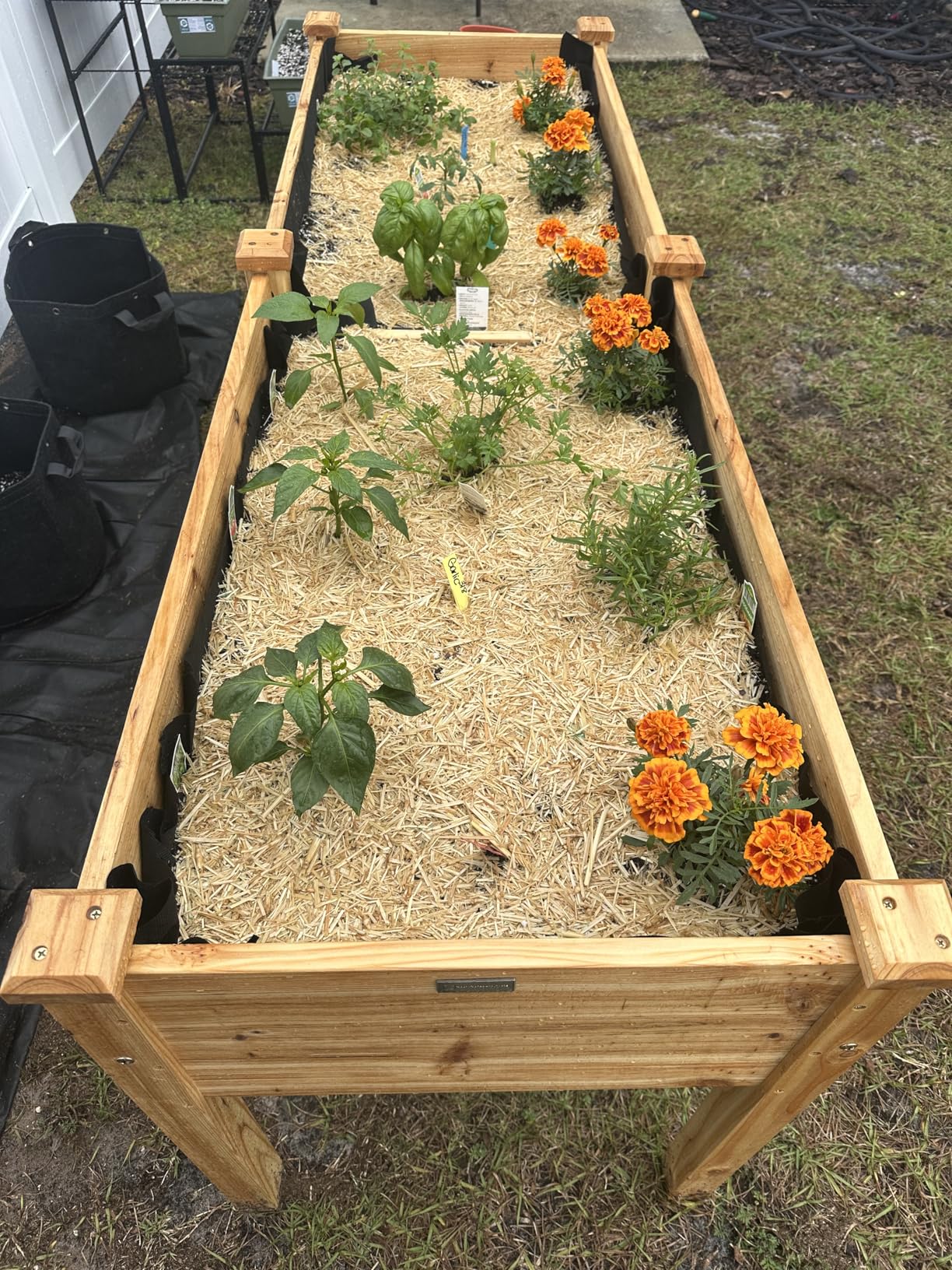 Best Choice Products 72x24x30in Raised Garden Bed, Elevated Wood Planter Box Stand for Backyard, Patio, Balcony w/Divider Panel, 6 Legs, 300lb Capacity - Natural customer photo 2