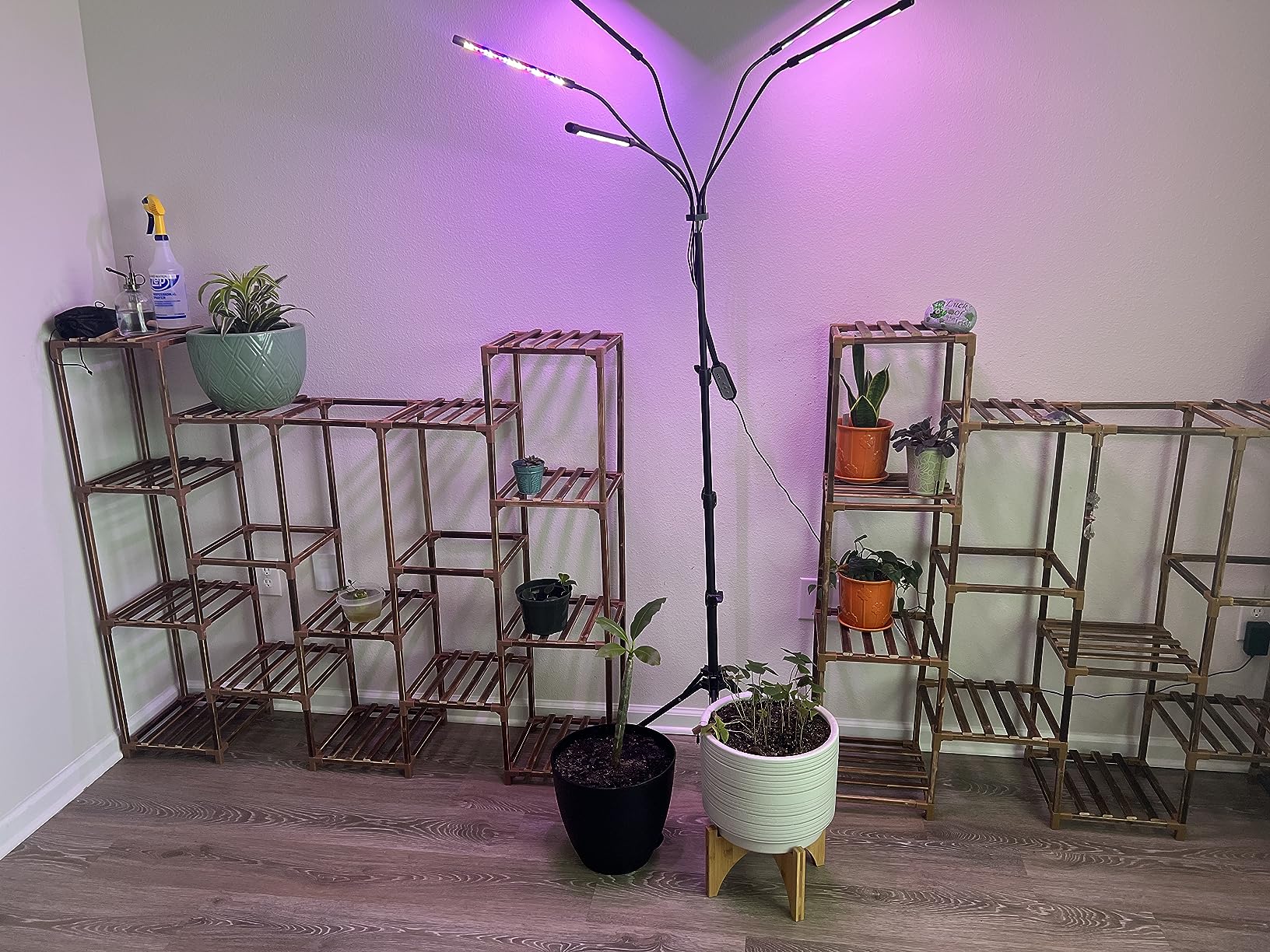 Bamworld Plant Stand Indoor Plant Shelf Outdoor Wood Plant Rack for Multiple Plants 3 Tiers Ladder Plant Holder for Living Room Patio Boho Home Decor for Gardening customer photo 1