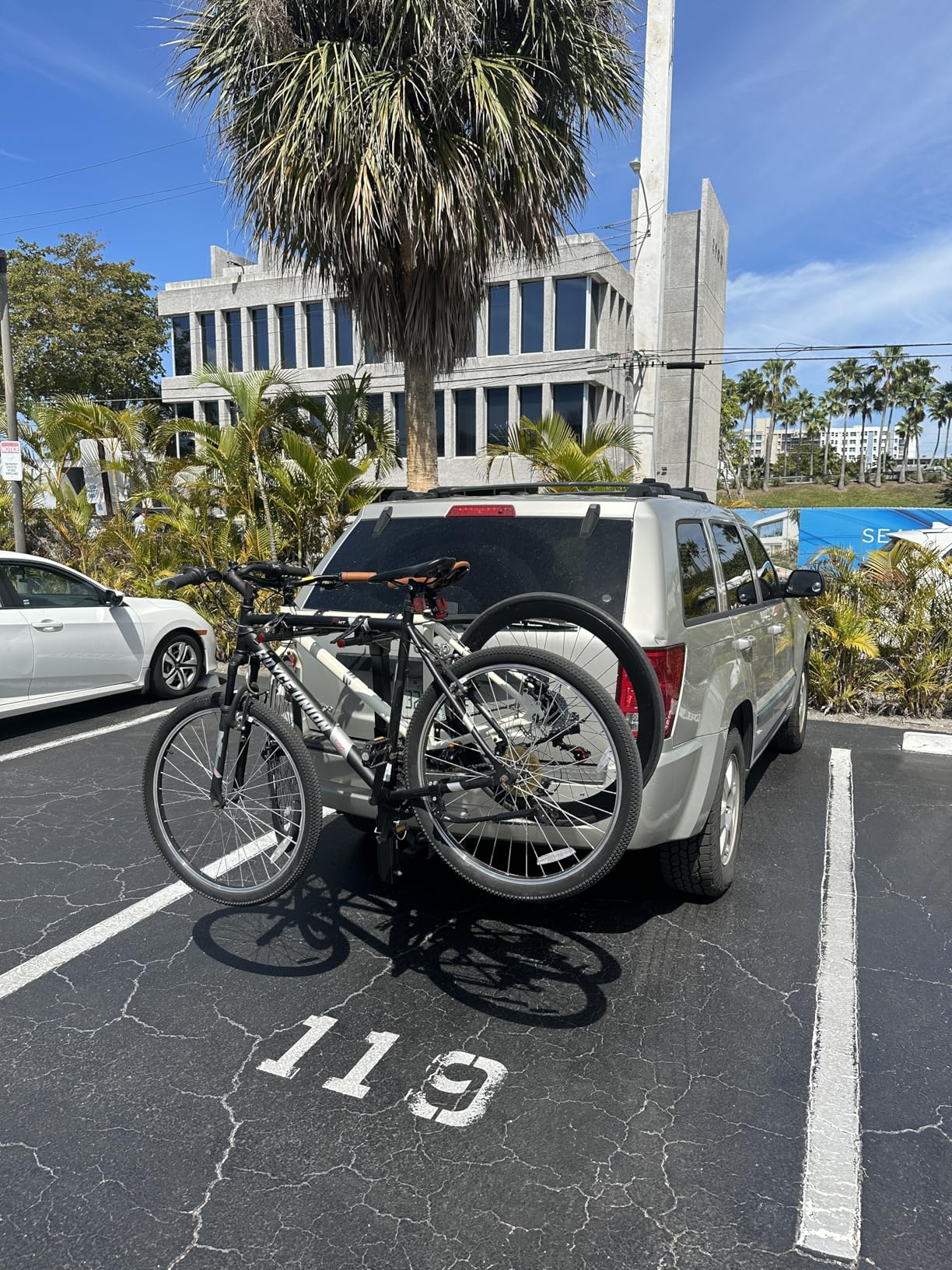 Retrospec Lenox 2-5 - Bike Hitch Rack for Cars, Trucks, SUVs with 2