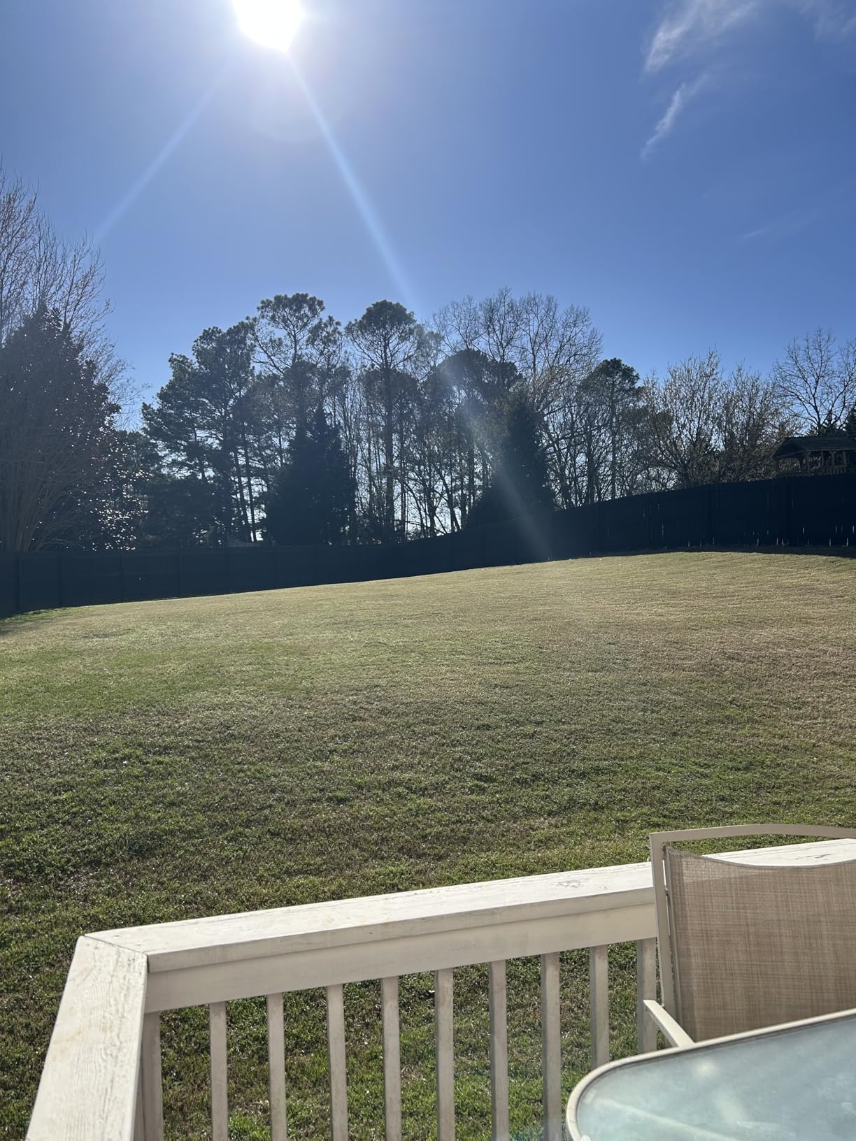 LawnMaster MEB1114K Electric Corded Lawn Mower 15-Inch 11AMP customer photo 1