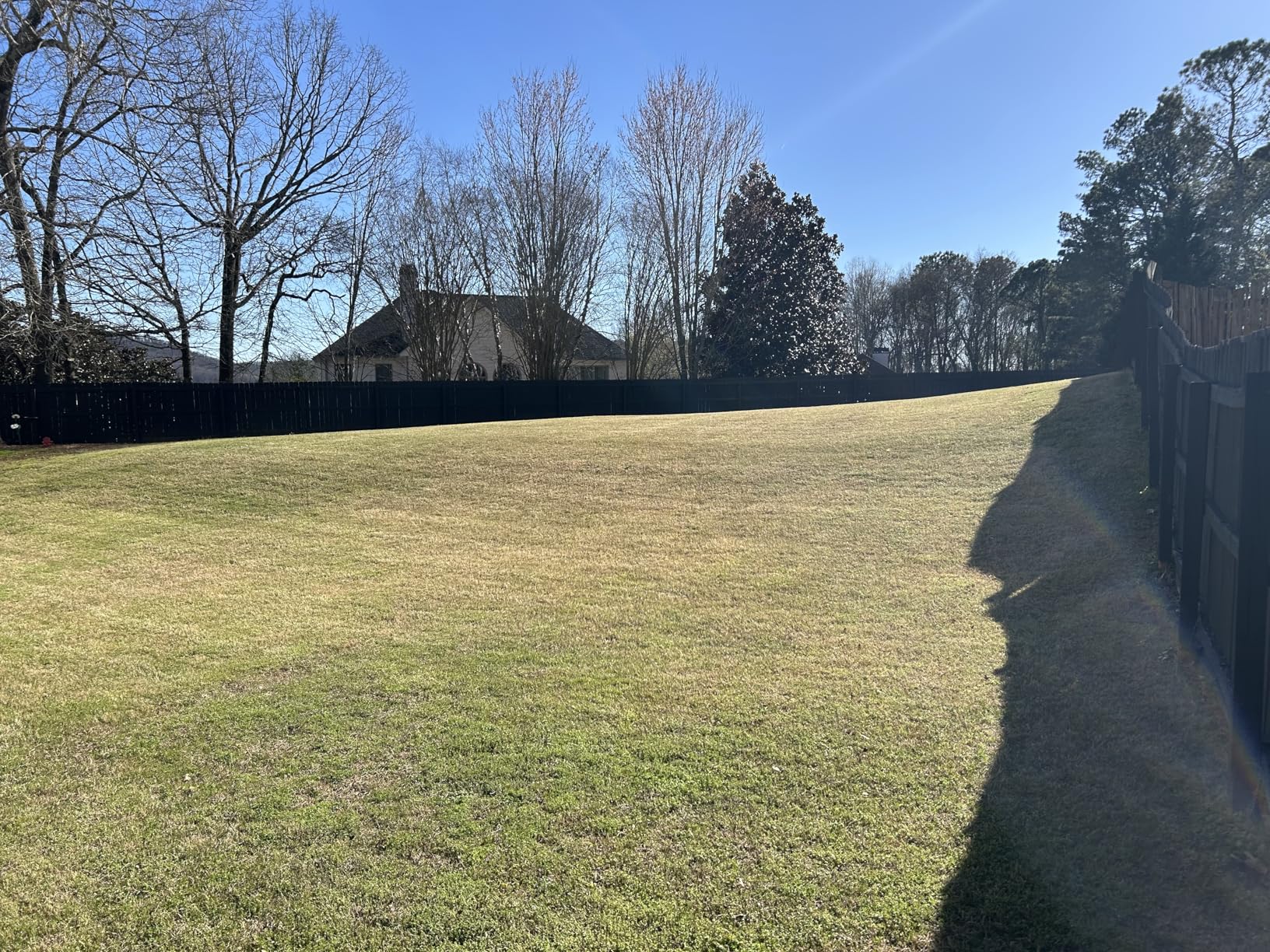 LawnMaster MEB1114K Electric Corded Lawn Mower 15-Inch 11AMP customer photo 2