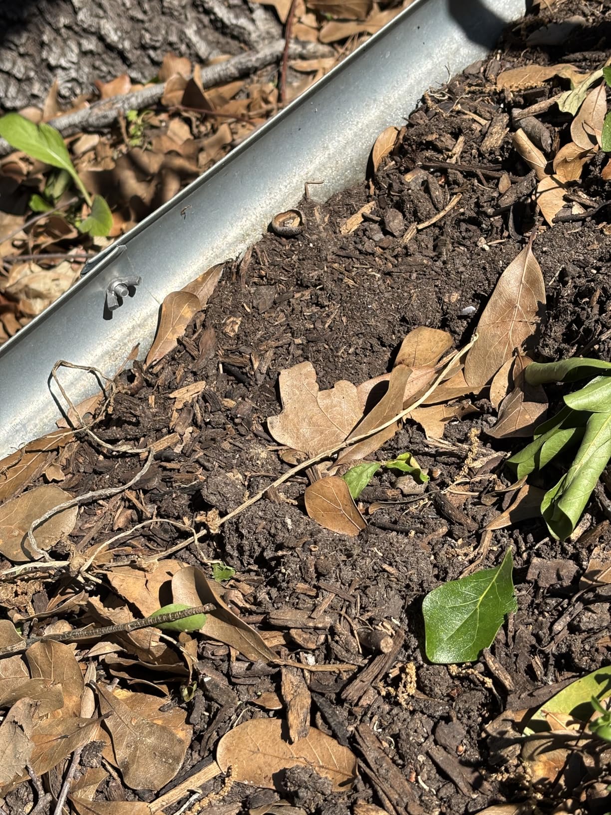 Raised Garden Bed GRS Certified Galvanized Planter Box Outdoor, 5ft Oval Rot-Resistant Metal Garden Bed Planter, Recycled Eco-Friendly Material Planter for Vegetables Flowers Herbs customer photo 2