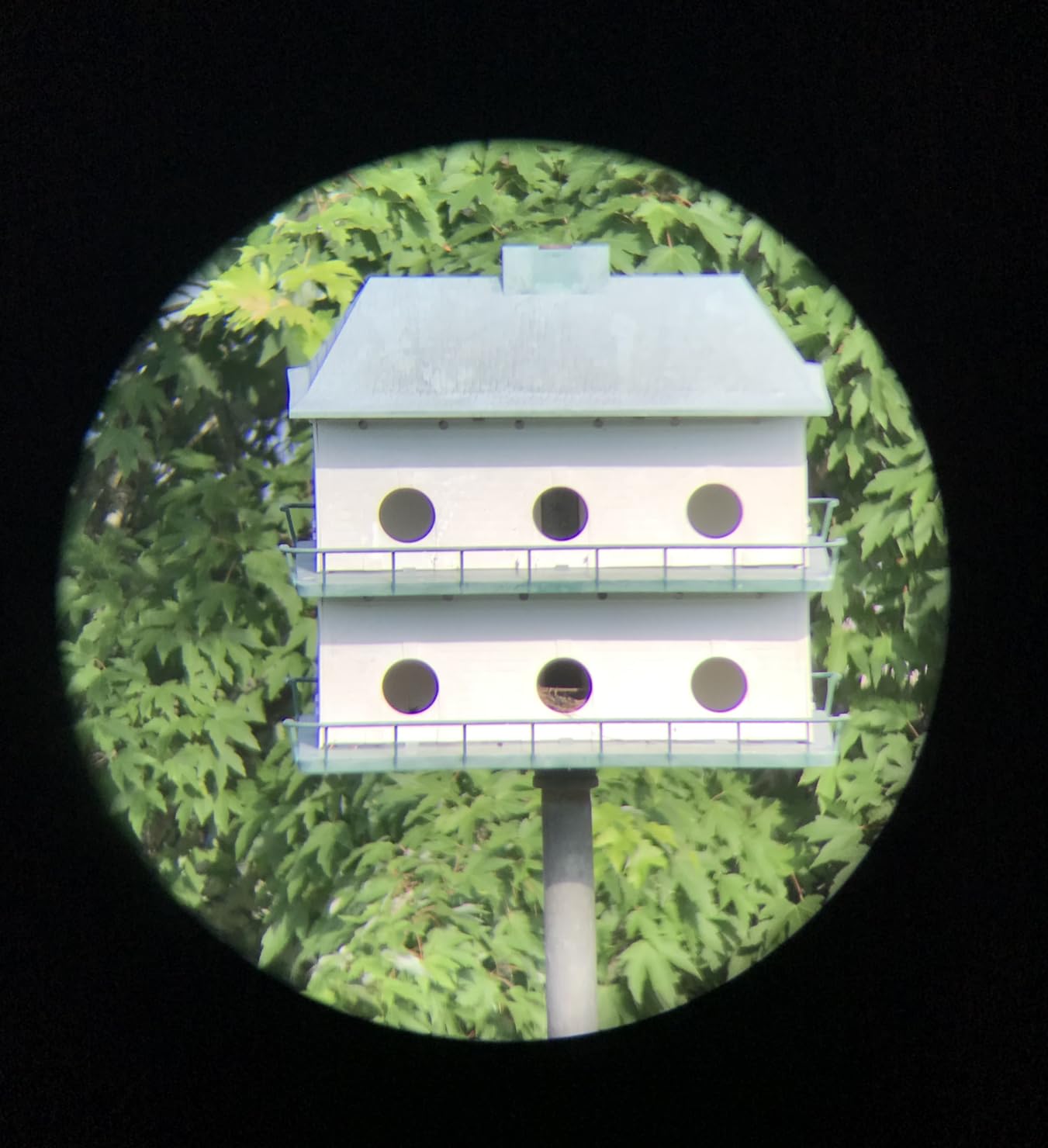 Telescopes for Adults Astronomy, 80mm Aperture 600mm Refractor Telescope for Kids & Beginners, Compact and Portable Travel Telescopio with Backpack customer photo 1