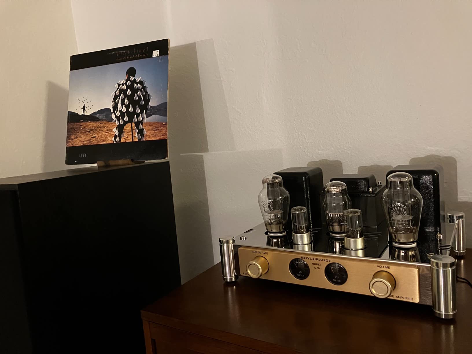 REISONG A50 MKIII 300B HiFi Integrated Tube Amplifier Single-end Class A Valve Amp with Tube Cage customer photo 2