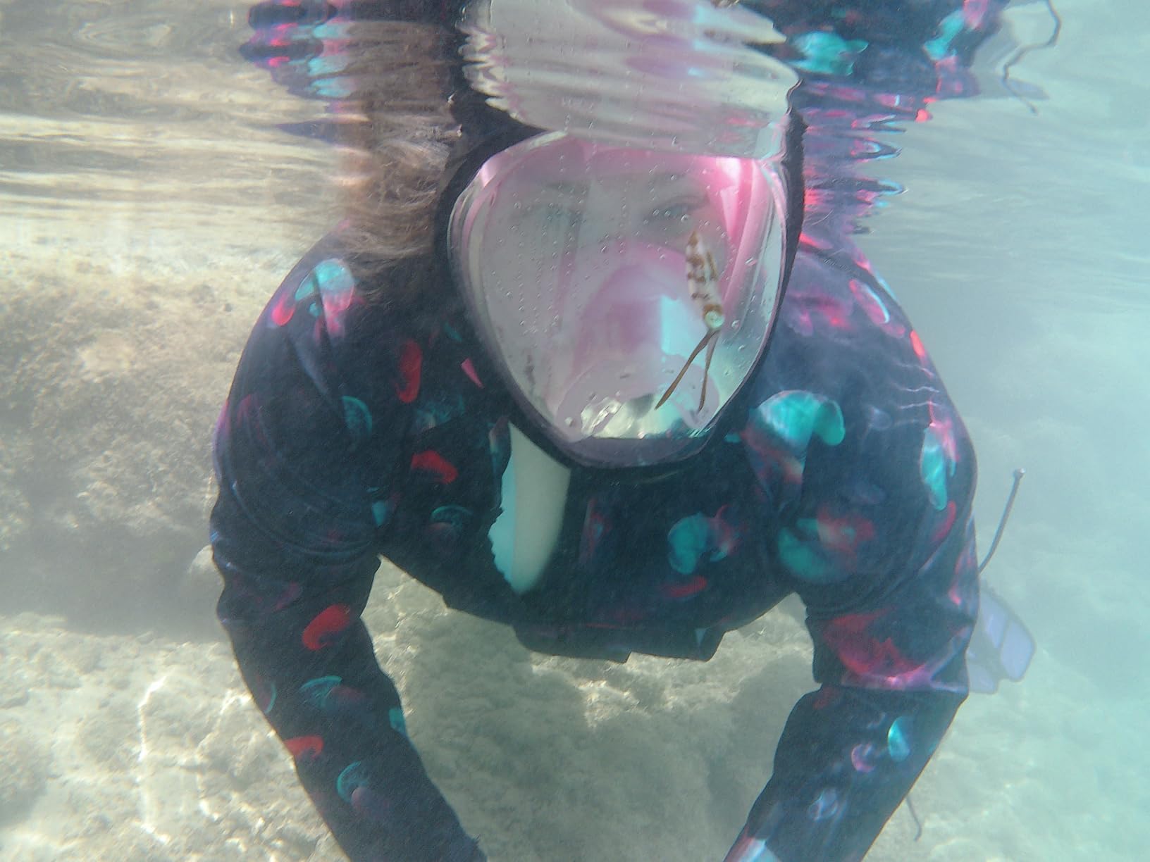 Greatever G2 Full Face Snorkel Mask with Latest Dry Top System,Foldable 180 Degree Panoramic View Snorkeling Mask with Camera Mount,Safe Breathing,Anti-Leak&Anti-Fog customer photo 2