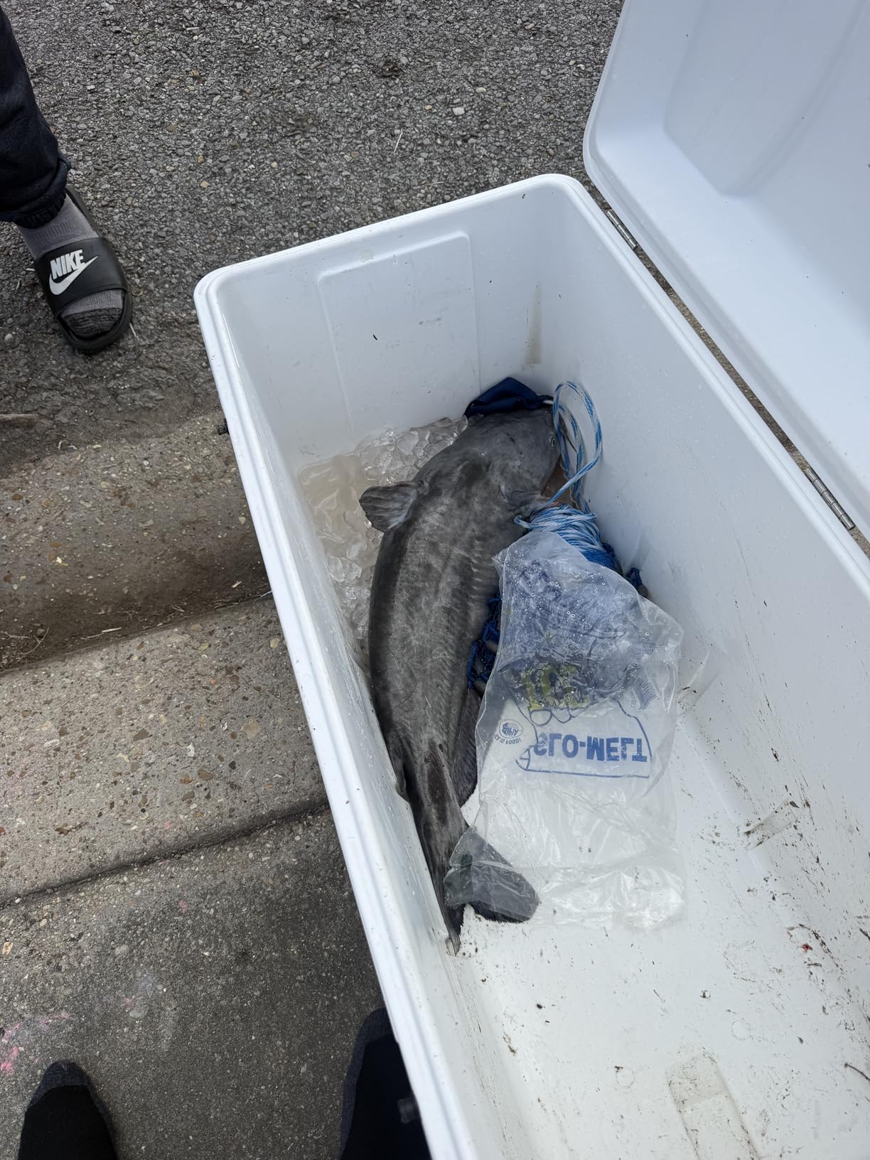 Penn Pursuit IV Spinning Fishing Reel customer photo 2