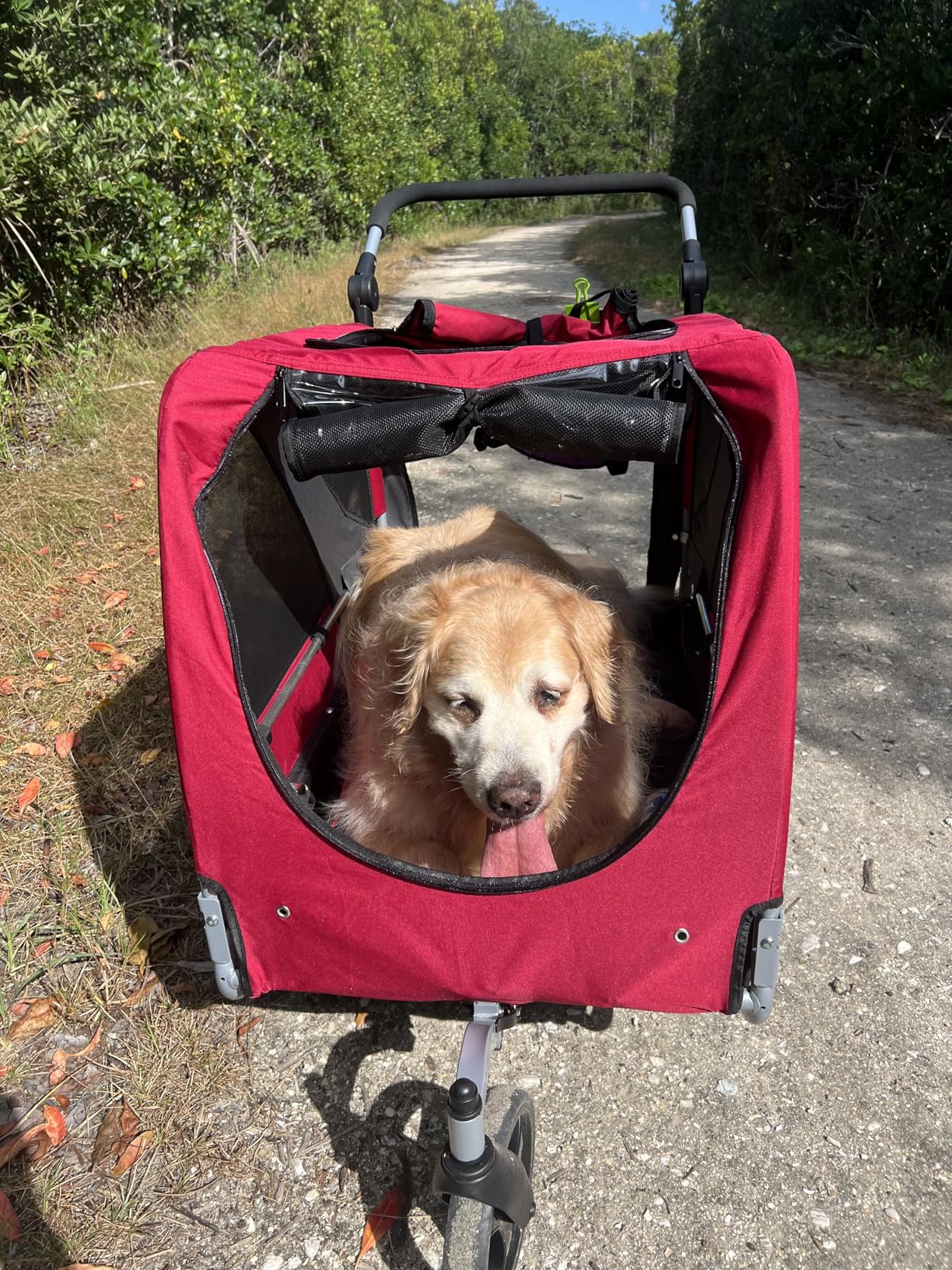 DOGGYHUT Premium Large/XL Pet Bike Trailer & Stroller for Large Sized Dog or Multiple Small Dogs, Low Center of Gravity, Parking Brakes, Easy Folding Frame, Bicycle Carrier customer photo 2