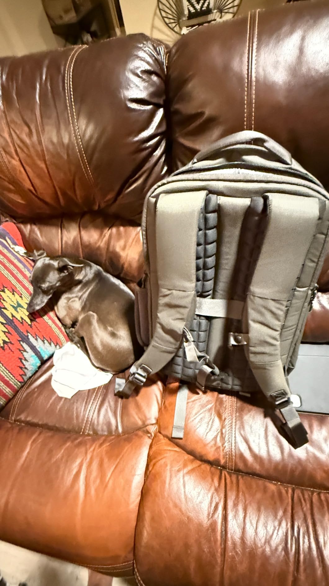 Timbuk2 Authority Laptop Backpack Deluxe, Eco Black Deluxe customer photo 2