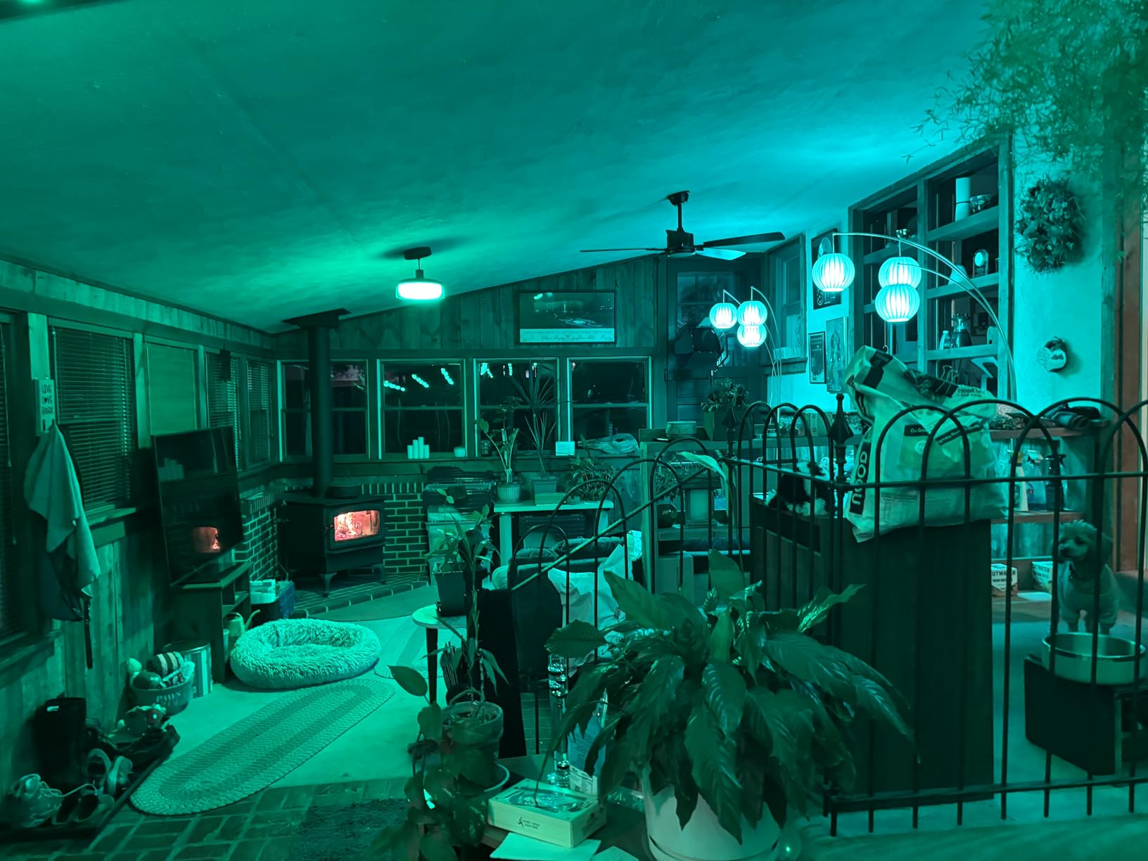 Govee Smart Light Bulbs, WiFi & Bluetooth Color Changing Light Bulbs, Music Sync, 16 Million DIY Colors RGBWW Color Lights Bulb, Work with Alexa, Google Assistant Home App, 800 Lumen, 2 Pack customer photo 1