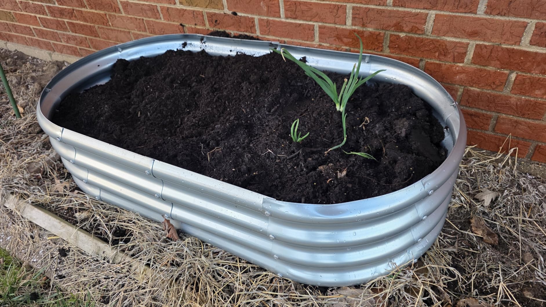 Land Guard Galvanized Raised Garden Bed Kit, Galvanized Planter Garden Boxes Outdoor, Oval Large Metal Raised Garden Beds for Vegetables customer photo 1