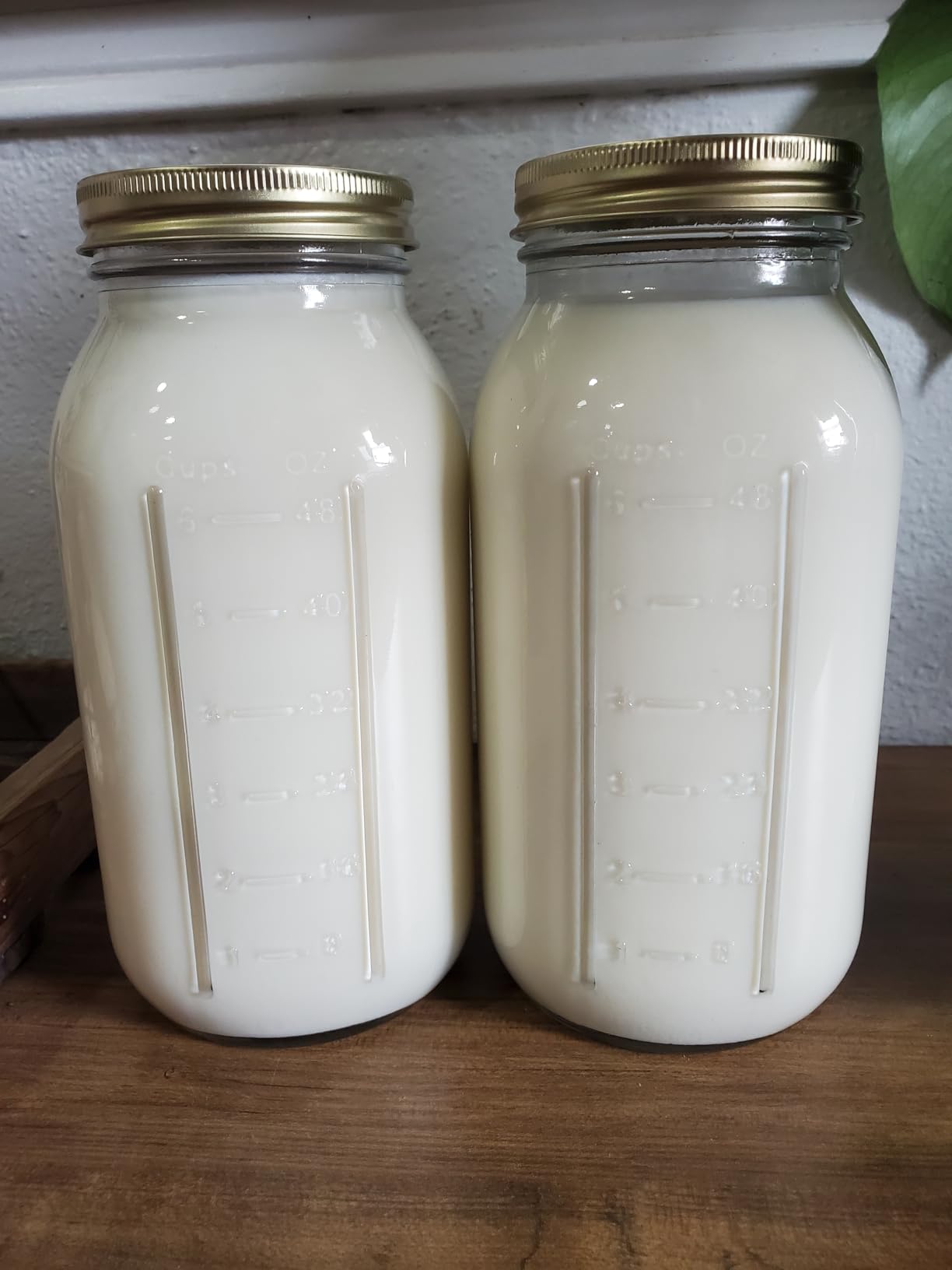 Hantop Goat Milking Machine 6L, Plug-in Powered, Speed Adjustable Pulsating Vacuum Pump, Food Grade 304 Stainless Steel Milk Bucket customer photo 2