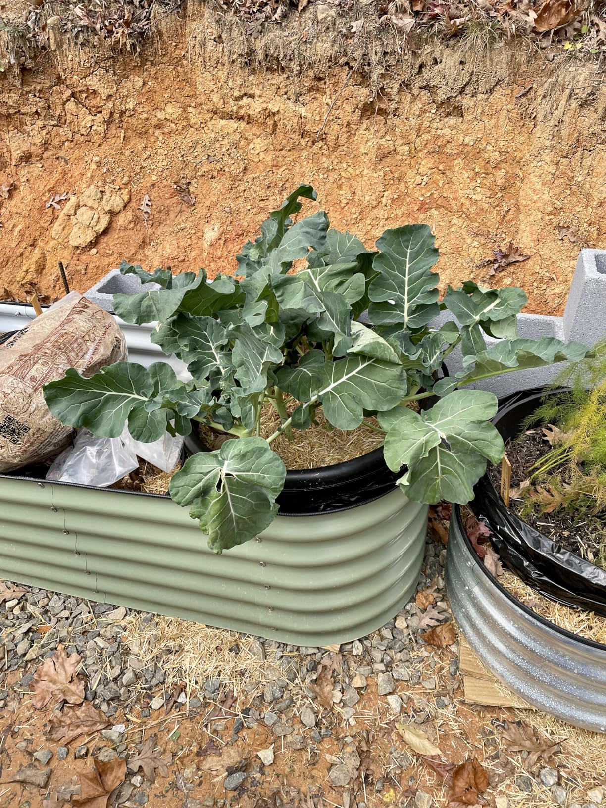 Vego Garden Raised Garden Bed Kits, 17