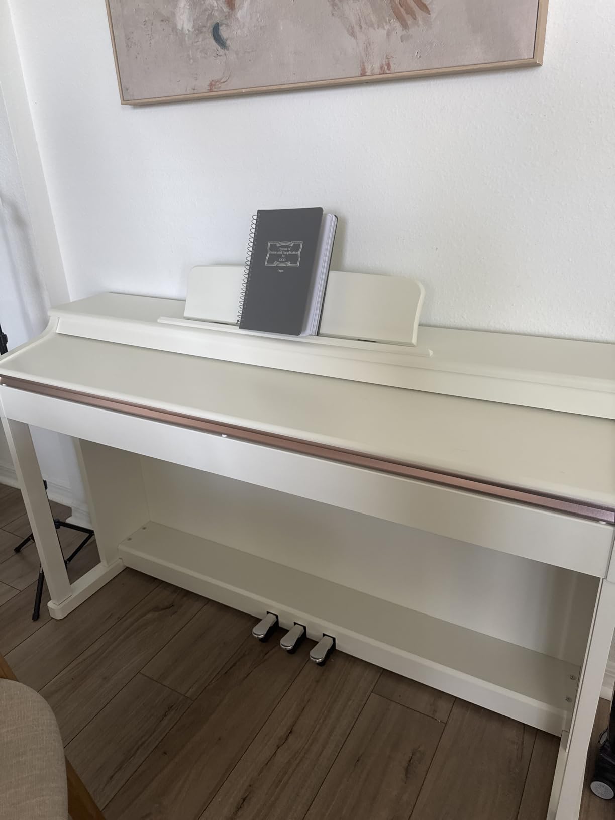 Donner DDP-100 88-Key Weighted Action Digital Piano, Beginner keyboard piano Bundle with Furniture Stand, Power Adapter, White customer photo 1