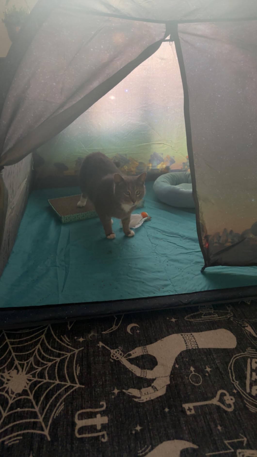 Kids Play Tent Imaginative Play Popup Tents Space World Tent for Kids Indoor/Outdoor Fun-Kid Galaxy Dome Tent Playhouse for Boys and Girls,Perfect Kid's Gift- 47