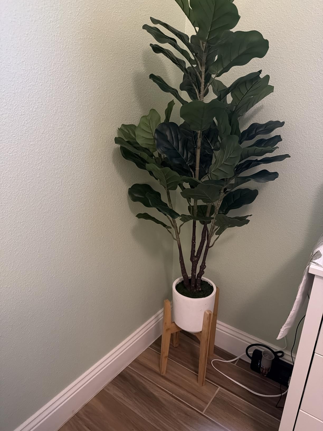 OERGKE Adjustable Plant Stand, Bamboo Mid Century Modern Indoor Plants Stands, Corner Flower Holder for Living Room, Fits 8 to 12 Inches Pots, (Pot & Plant Not Included)(Walnut, 1 Pack) customer photo 2