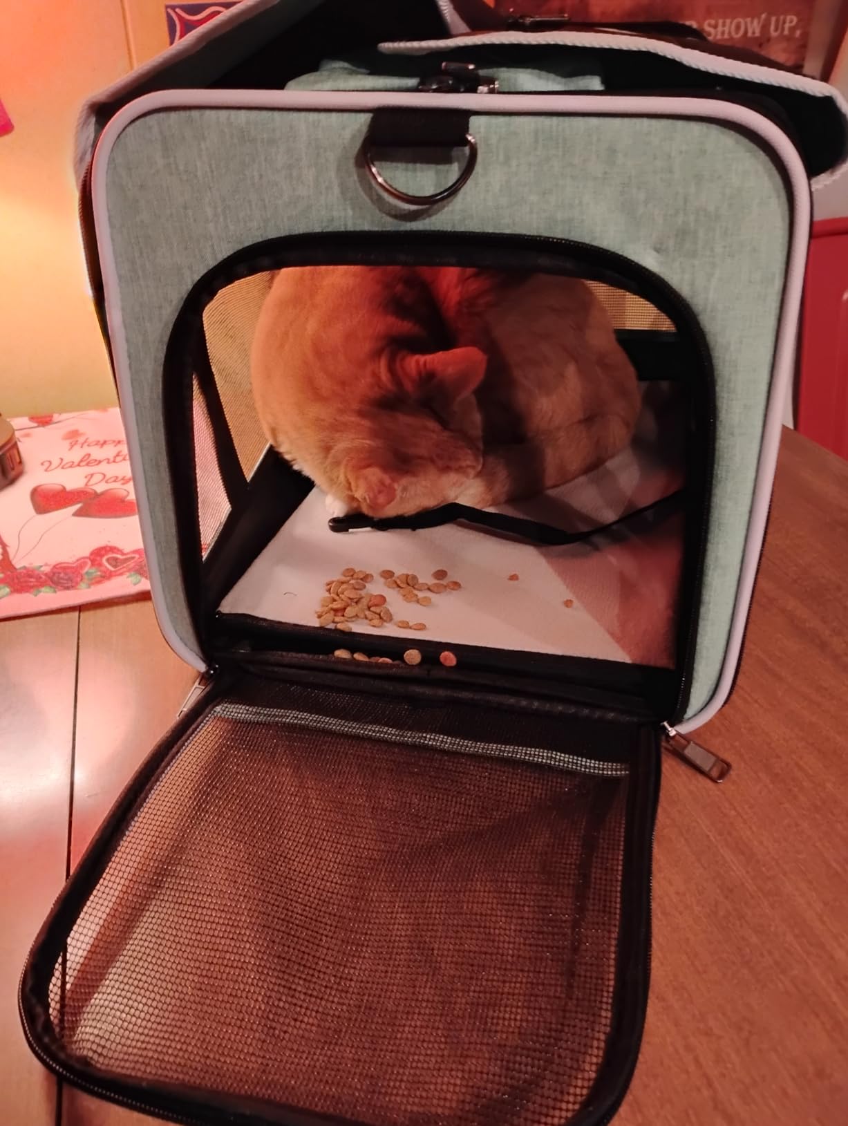Pet Carrier for Large Cats, Soft-Sided Cat Carrier for Medium Big Cats and Puppy up to 20lbs, Washable Dog Carrier Privacy Protection for Home Outdoor Travel customer photo 2