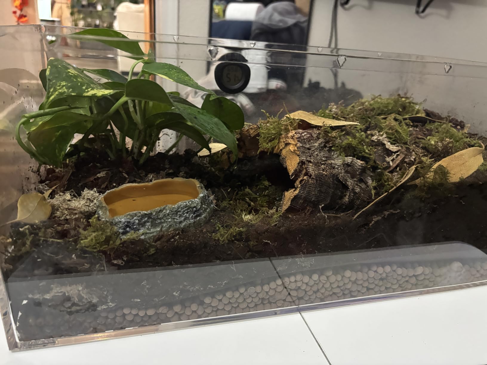 Reptile Terrarium,10 Gallon Reptile Tank 20