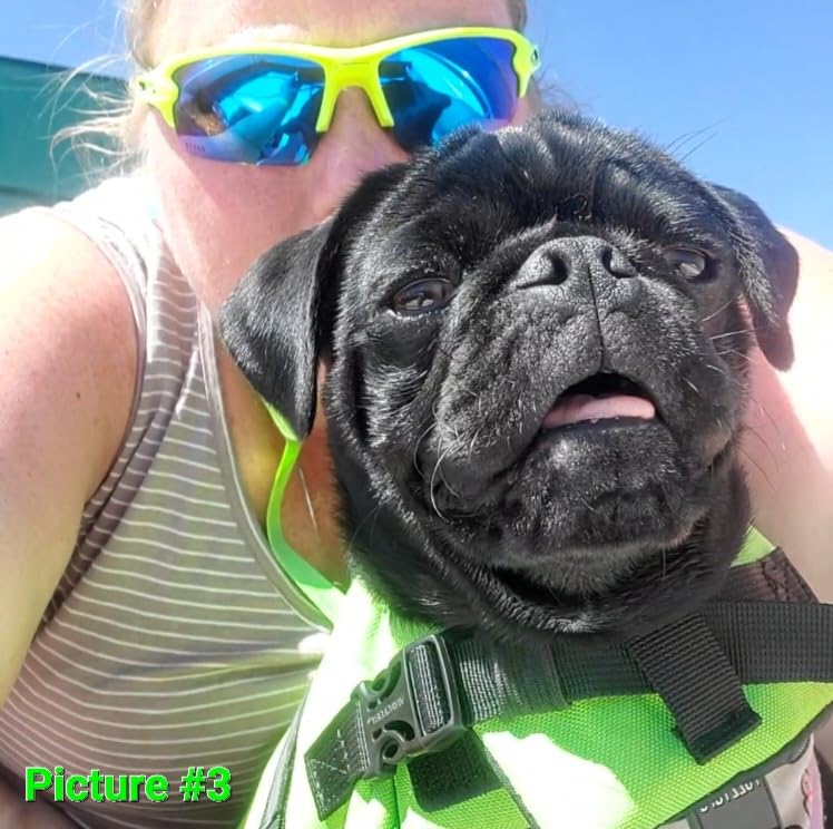 VIVAGLORY Rip Stop Dog Life Vest, Swimming Vest with Handle, Buoyancy for Doggy Puppy, Dog Life Jacket for Swimming & Boating, L, Floral Orange customer photo 1