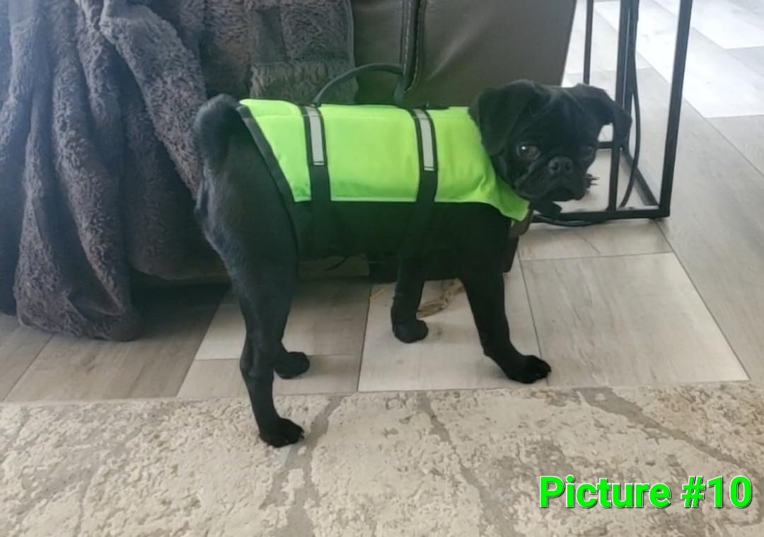 VIVAGLORY Rip Stop Dog Life Vest, Swimming Vest with Handle, Buoyancy for Doggy Puppy, Dog Life Jacket for Swimming & Boating, L, Floral Orange customer photo 2