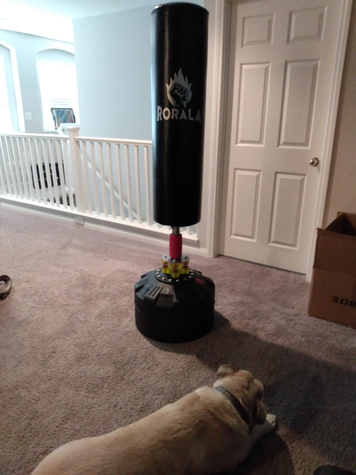 Punching Bag with Stand 70