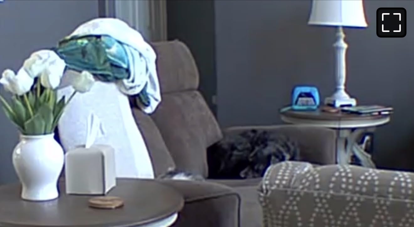 Blink Mini Pan-Tilt Camera (newest model), Rotating indoor plug-in smart security camera, two-way audio, HD video, motion detection, Works with Alexa (White) customer photo 1