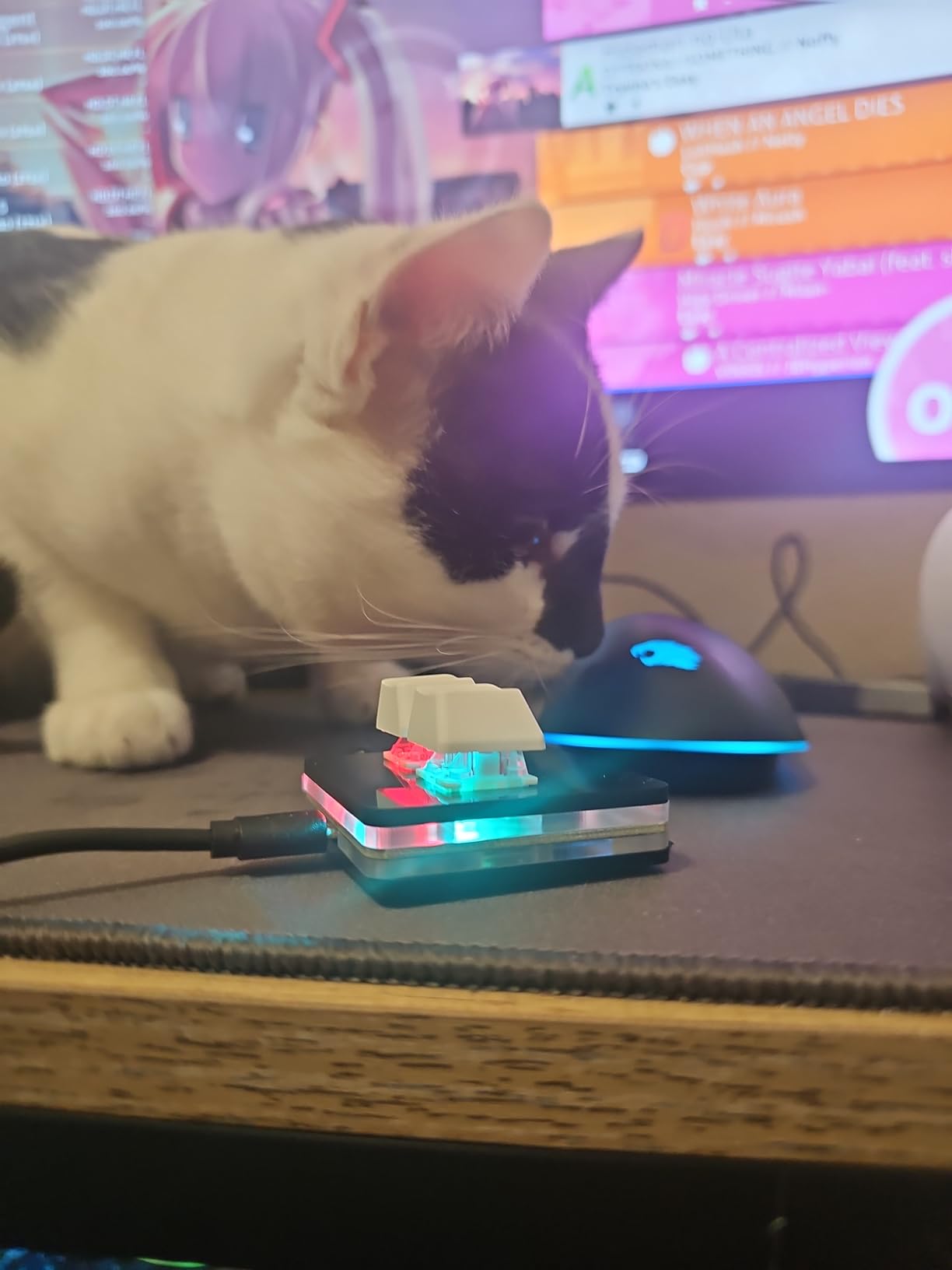 NONO OSU keypad 2-Key Red axis Gaming USB Keyboard,Hotswap Mechanical Keyboard,Mini Mechanica RGB keypad for macros and Rhythm Games. customer photo 1