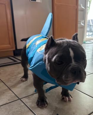 Fragralley Shark Dog Life Jacket, Adjustable Dog Life Vest with Shark Fin, Suit for Small Medium Large Dog Life Vest for Swimming and Boating customer photo 1