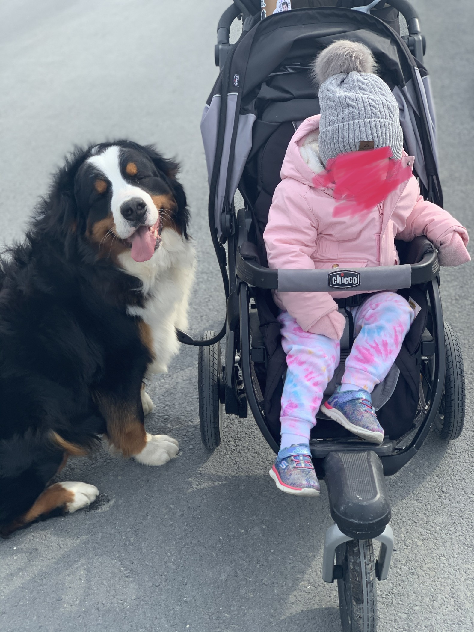 Chicco Activ3 Jogging Stroller, All-Terrain Stroller, Compatible with Chicco Infant Car Seats (not Included), Baby Travel Gear, Eclipse/Grey customer photo 2