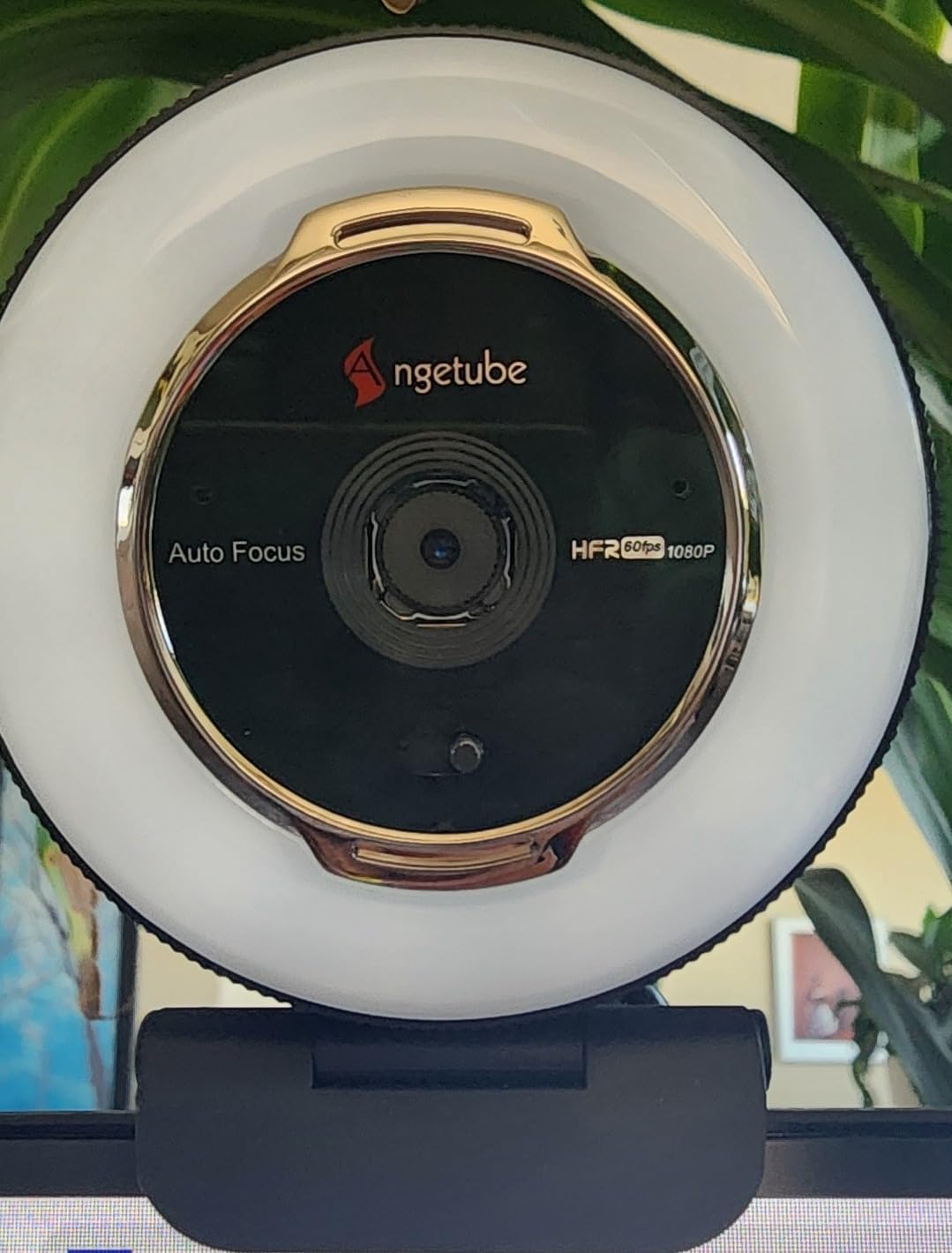 Angetube Streaming Webcam with Microphone: 1080P 60FPS USB Web Cam with Ring Light and Remote Control - HD Web Camera with 5X Digital Zoom Built in Privacy Cover customer photo 1