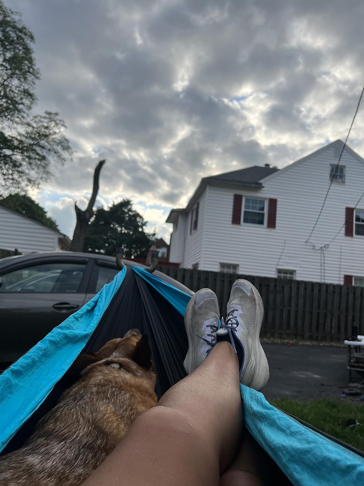 Wise Owl Outfitters Portable Hammock Stand, 106x42, 440lb Capacity - Sports & Outdoors customer photo 1