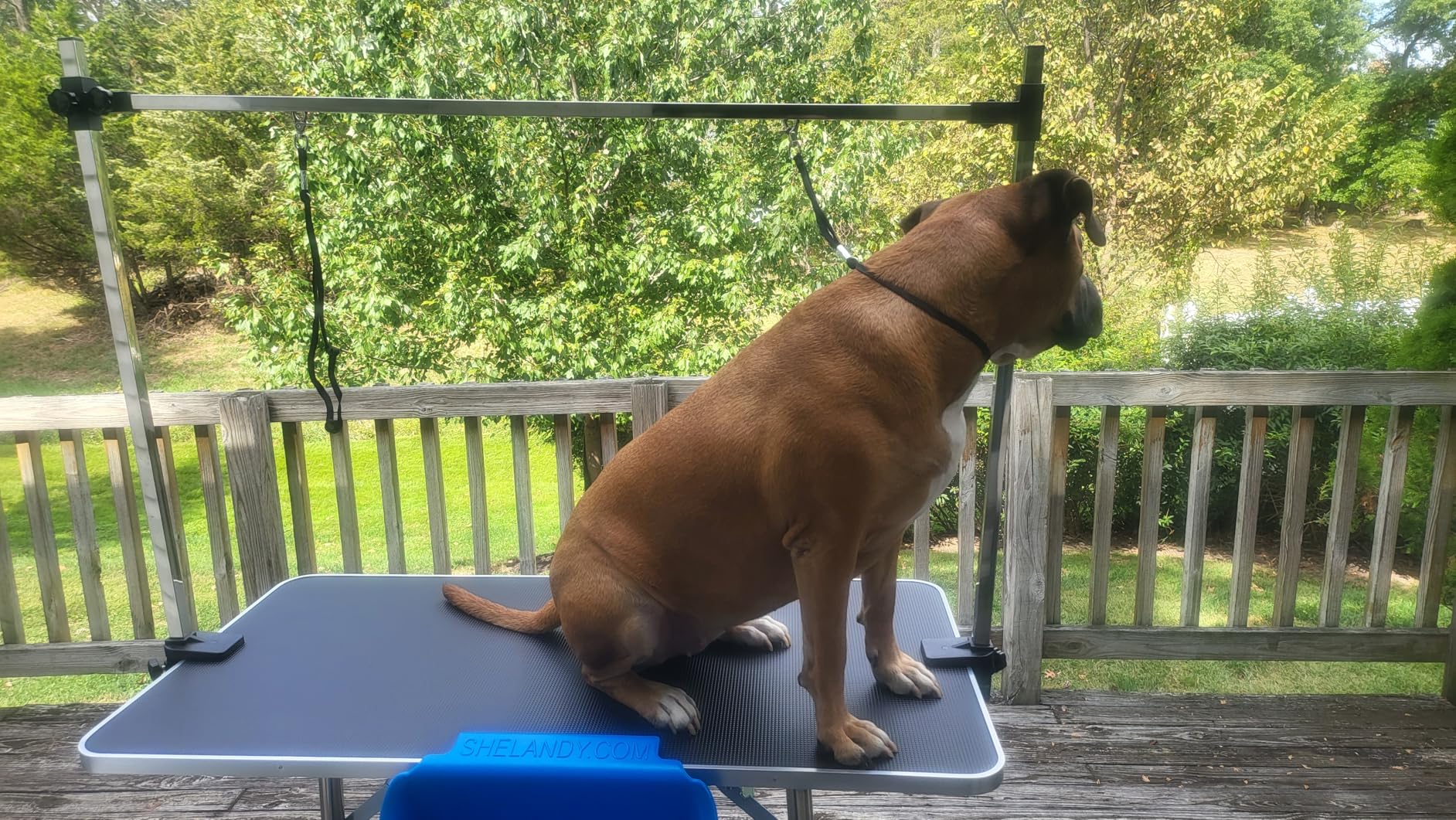 Lyromix 36''Large Dog Grooming Table, Adjustable Cat Drying Desktop with Arms, Nooses, Mesh Tray, Foldable Pet Station at Home, Maximum Capacity Up to 330Lb, 36inch, Black customer photo 1