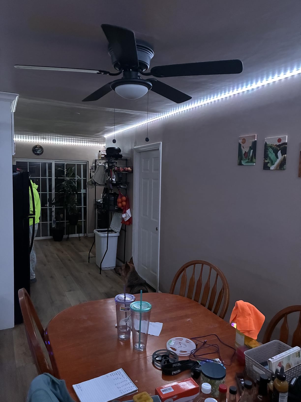 Govee 100ft RGBIC LED Strip Lights, Smart LED Lights Work with Alexa and Google Assistant, LED Lights for Bedroom WiFi App Control Segmented DIY Multiple Colors, Color Changing Light, (2 x 50ft) customer photo 2