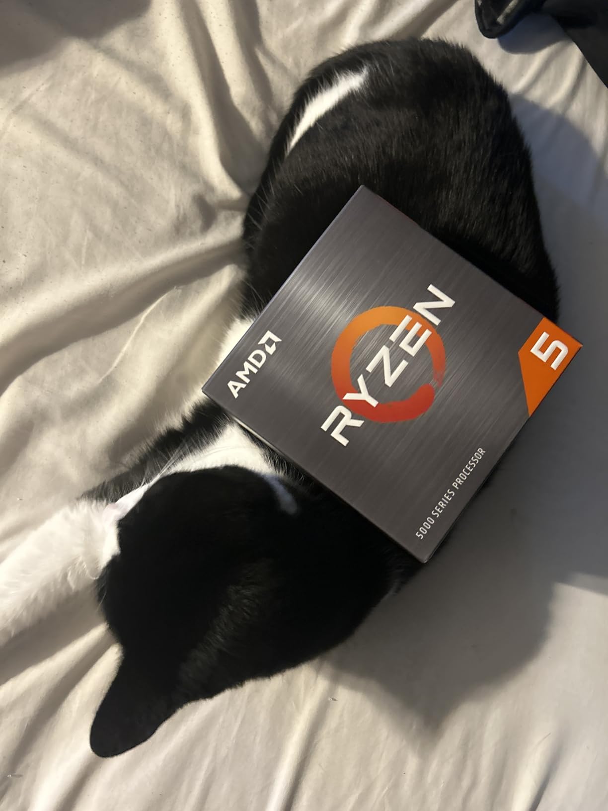 AMD Ryzen 5 5500 6-Core, 12-Thread Unlocked Desktop Processor with Wraith Stealth Cooler customer photo 2