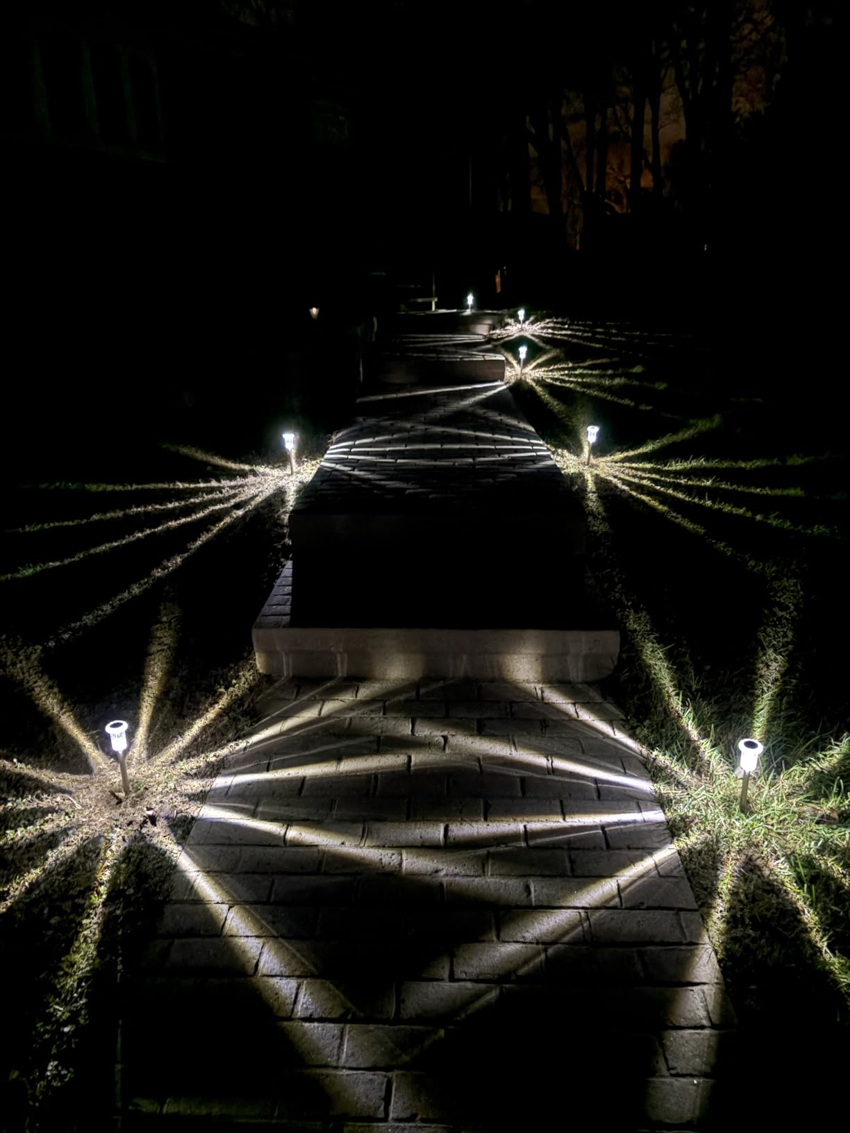 DenicMic Solar Lights Outdoor 10 Pack Waterproof 6000K Cold White LED Stainless Steel Stake Outside Lights for Yard Pathway Garden Driveway Walkway Landscape Path Lighting customer photo 1