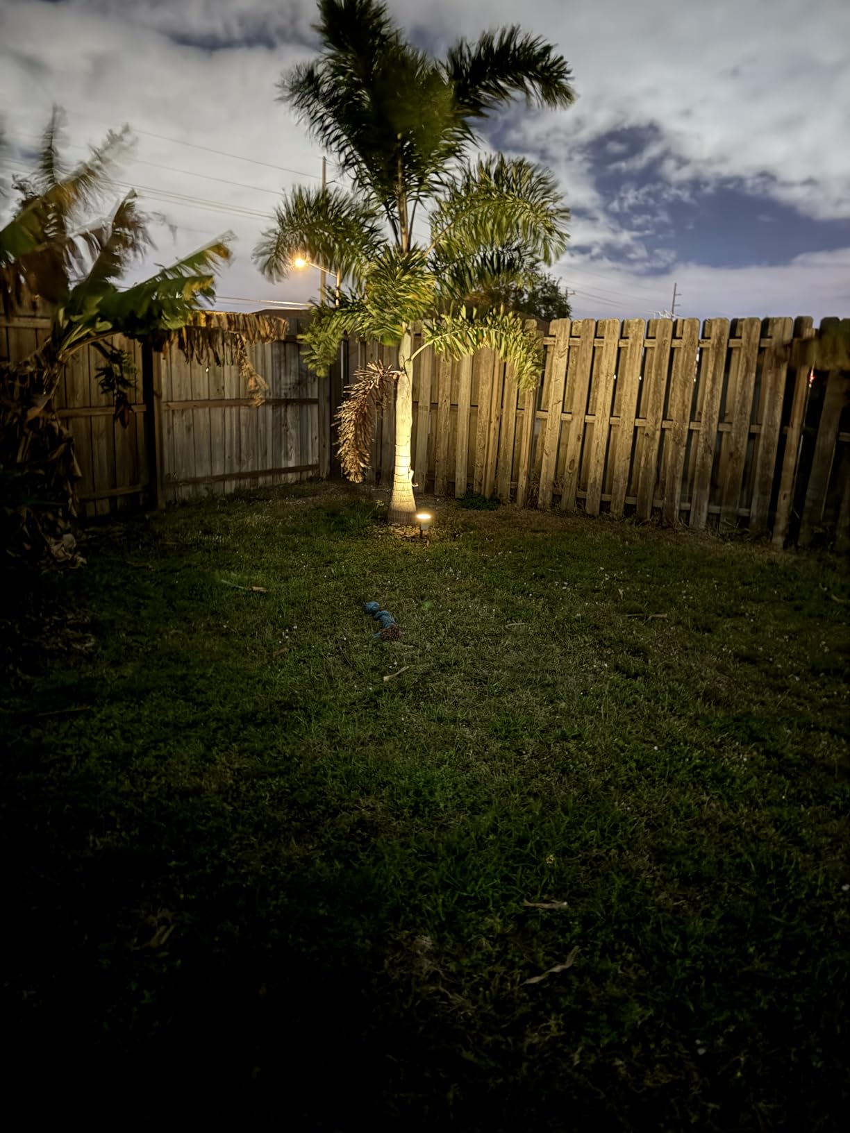 NYMPHY Solar Lights Outdoor Waterproof IP68, 56 LED 3 Lighting Modes Solar Powered Garden Yard Spot Solar Lights for Outside Landscape- 4 Pack (Cool White) customer photo 1