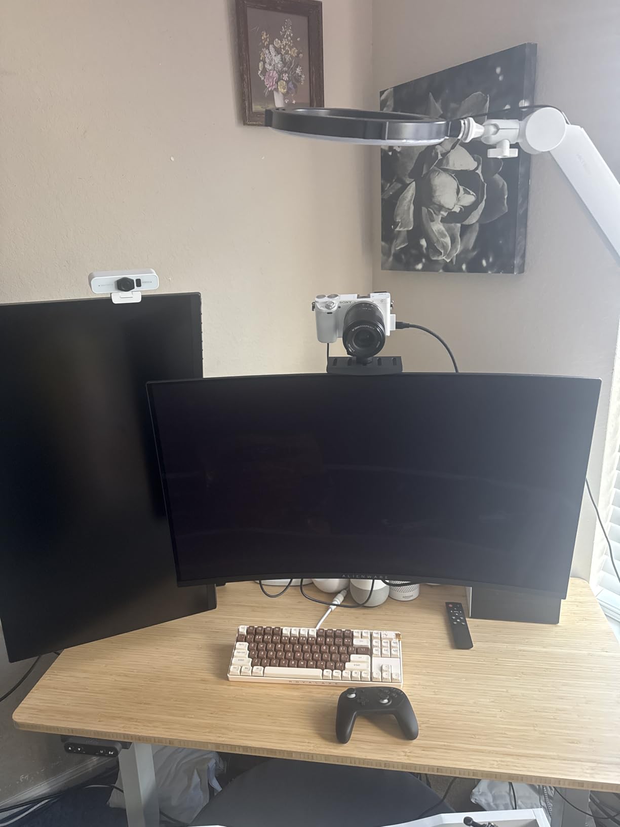 HumanCentric DSLR Monitor Mount Large, Desk Camera Mounting, Light Webcam, Microphone Shelf for Monitor VESA Arm, Replace Clamp Tripods, 100x100mm Patterns, Aluminum, Hardware Included customer photo 1