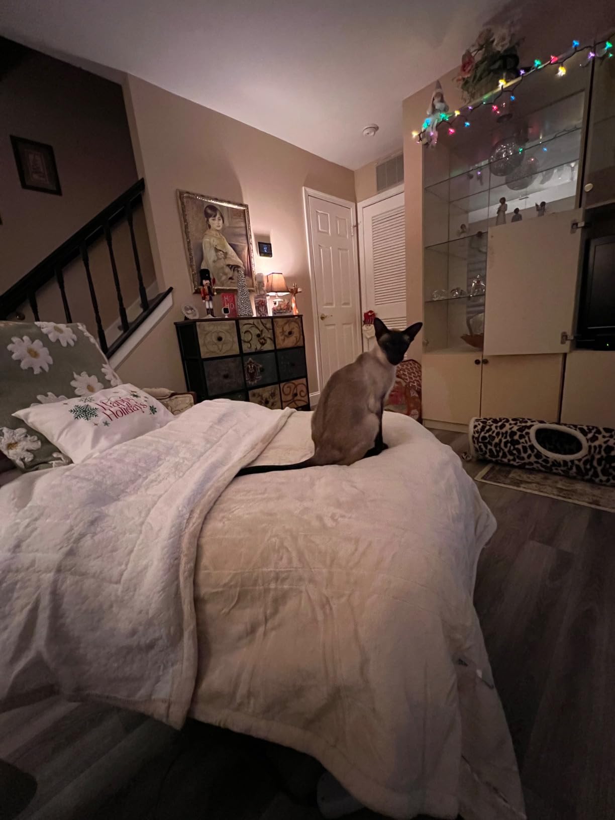 SEALY Electric Blanket King Size, Flannel & Sherpa Heated Blanket with 10 Heating Levels & 1-12 Hours Auto Shut Off, Fast Heating Warming Blanket, Machine Washable, Beige, 100 x 90 Inch customer photo 1