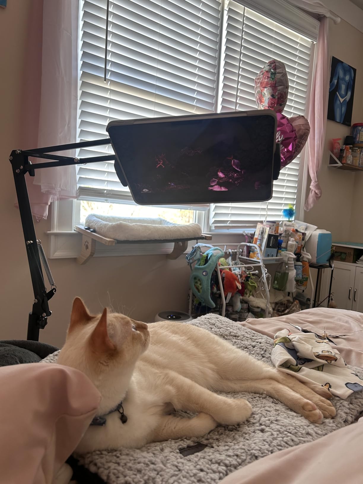 Tablet Floor Stand with Double Weight Base, Overhead Bed Phone Mount Height Adjustable Arm Stretchable Stand Holder, Compatible with iPad Mini Air Pro, Galaxy Tab, Kindle, Switch, Cell Phones customer photo 1