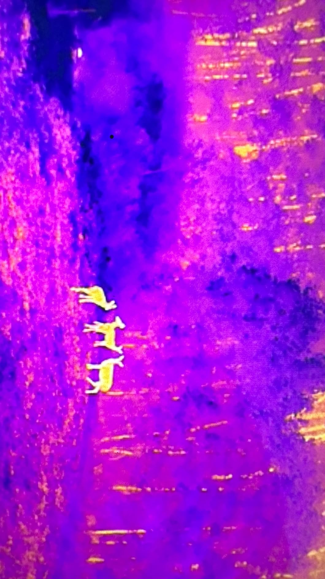 Autel Robotics EVO II Dual 640T V3, 640x512 Thermal Imaging Drone, Remote ID Supported, 0.8'' CMOS&50MP 8K RYYB Sensor,10+ Temp Measurement, D-RI Ranges, Thermal Analysis Tool, for Search&Rescue/Power Inspection/Public Safety/Hunting customer photo 2