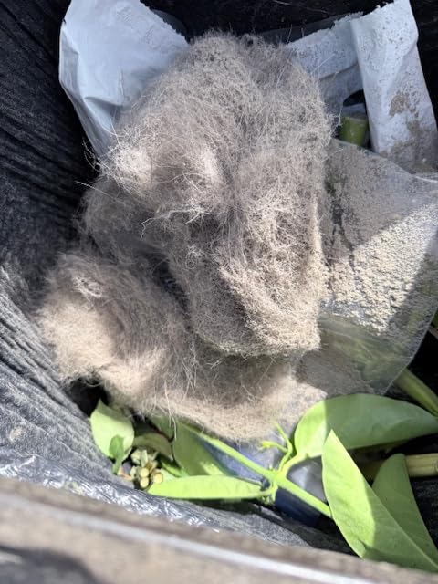 Shark Upright Vacuum, Stratos with DuoClean PowerFins, HairPro, Powered Lift-Away, Self-Cleaning Brushroll, & Odor Neutralizer Technology, AZ3002, Navy customer photo 2