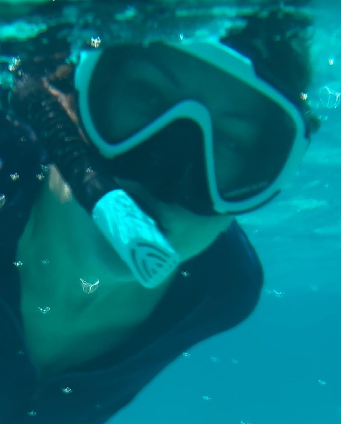 Snorkel Set Adults Snorkeling Gear Anti-Fog Panoramic View Swim Mask Dry Top Snorkel Kit with Carry Bag for Snorkeling Scuba Diving Swimming Travel customer photo 1