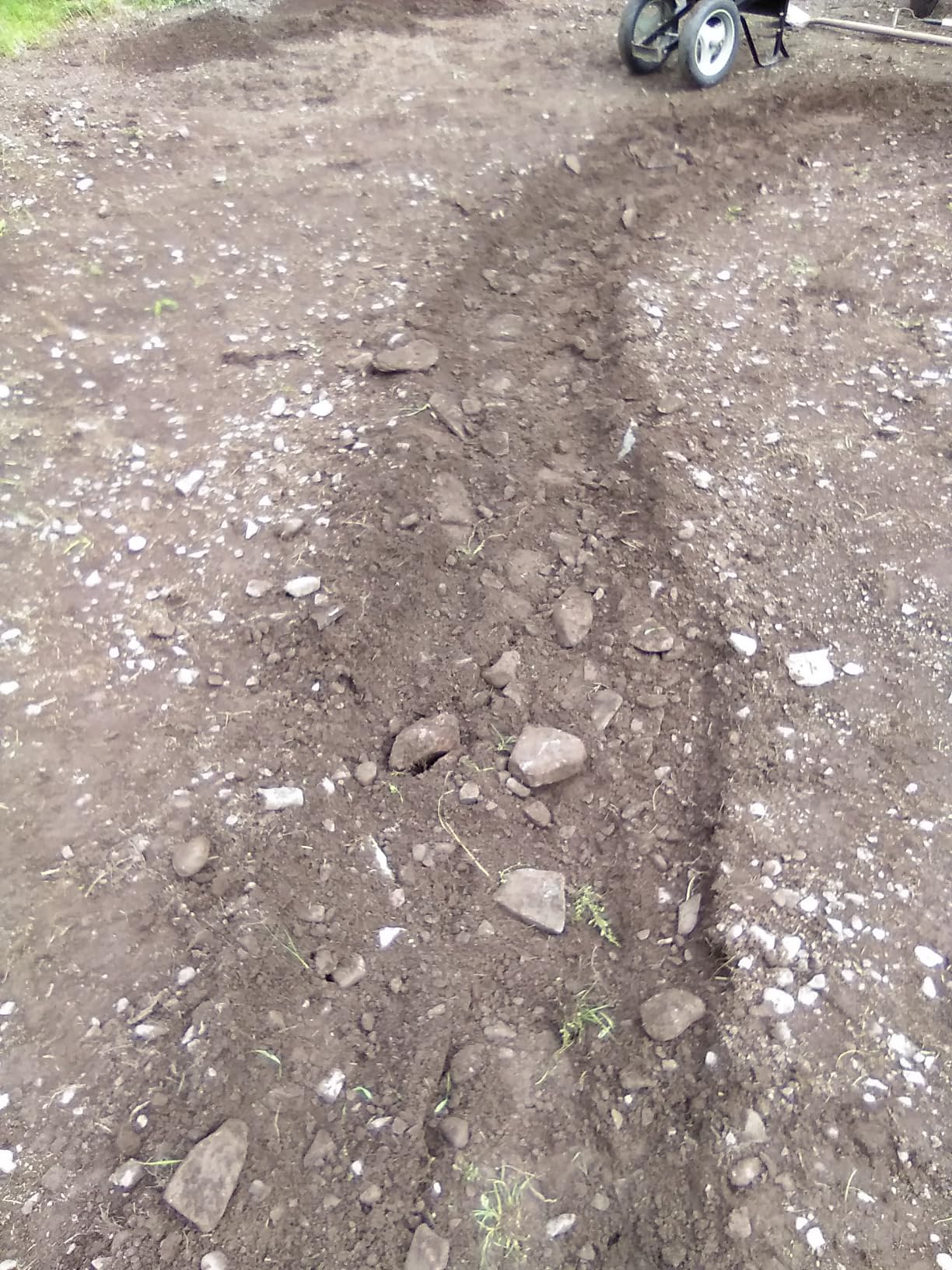 EARTHQUAKE Victory Rear Tine Tiller, Powerful 209cc 4-Cycle Viper Engine, Rugged Bronze Gear Transmission, Counter-Rotating Tines, Instant Reverse, Pneumatic Wheels, Model: 39381 customer photo 2