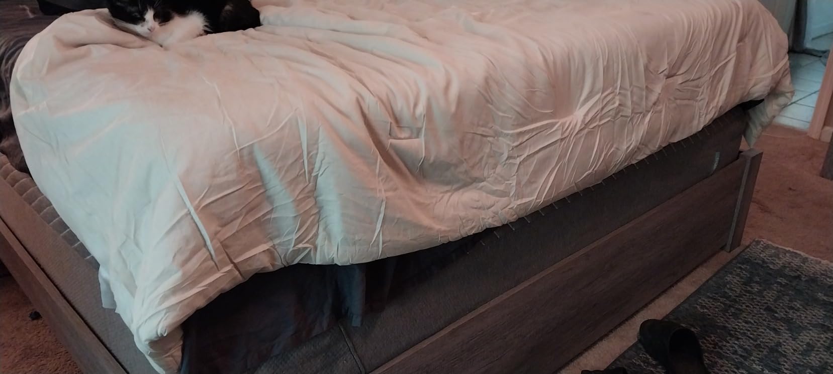 Bedsure Queen Comforter Set - Beige Soft Bedding for All Seasons, Cationic Dyed Bed Set, 3 Pieces, 1 Queen Size Comforter (90x90) and 2 Pillow Shams (20x26+2) customer photo 2