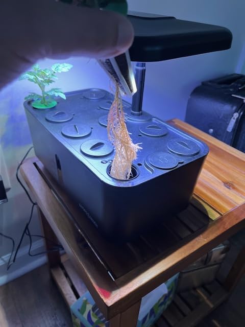 Ahopegarden Indoor Garden Hydroponics Growing System: 10 Pods Plant Germination Kit Herb Vegetable Growth Lamp Countertop with LED Grow Light - Hydrophonic Planter Grower Harvest Lettuce customer photo 2